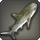 Zebra shark icon1.png