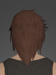 Common Makai Sun Guide's Circlet rear.png