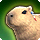 Mehwapyarra mount icon1.png