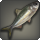 Indigo herring icon1.png