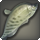 Wootz knifefish icon1.png