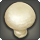 Creamtop mushroom icon1.png