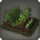 Botanists garden icon1.png