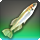 Princess killifish icon1.png