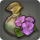 Byregotia seeds icon1.png