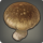 Chanterelle icon1.png