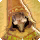 Qitari card icon1.png