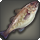 Haddock icon1.png