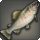 Rainbow trout icon1.png