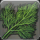 Freshwater weeds icon1.png