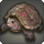 Mossy tortoise icon1.png