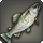 Steelhead trout icon1.png