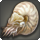 Nautilus icon1.png