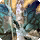 Titania card icon1.png