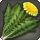 Dandelion icon1.png