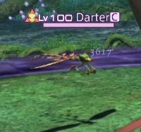 Darter.jpg