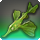 Ginkgo fin icon1.png