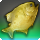 Golden pipira icon1.png