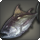 Ash tuna icon1.png