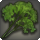 Curly parsley icon1.png