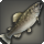 Kissing trout icon1.png