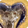 Vidofnir card icon1.png