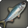 Glass herring icon1.png