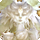 Garuda card icon1.png