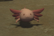 Axolotl Eft front.png