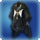 Cauldronkings coat icon1.png