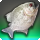 Pearl pipira icon1.png