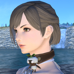 Mandragora Choker.jpg