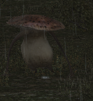 Stumbling Funguar Walk.png