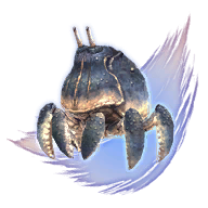 Big Shell Image.png