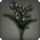 Black lilies of the valley icon1.png