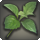 Yanxian parsley icon1.png