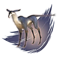 Antelope Doe Image.png