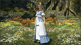 Spring Dress Glamour Set img1.png