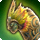 Quaqua icon2.png