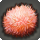 Tidal dahlia icon1.png