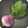 Sugar beet icon1.png