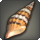 Miter shell icon1.png