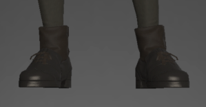 Raptorskin Shoes front.png