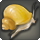 Acorn Snail