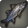 Swordspine snook icon1.png