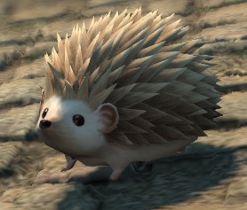 Hedgehoglet1.jpg