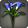 Blue arums icon1.png