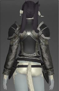 Lords cuirass b.JPG