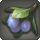 Othardian plum icon1.png