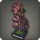 Doman dogwood icon1.png